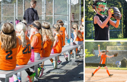 Previous Seasons photos