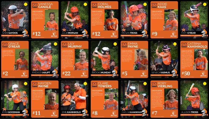 sample of MVAA trading cards